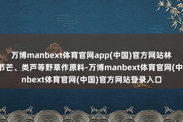 万博manbext体育官网app(中国)官方网站林占熺终于用芒萁、五节芒、类芦等野草作原料-万博manbext体育官网(中国)官方网站登录入口