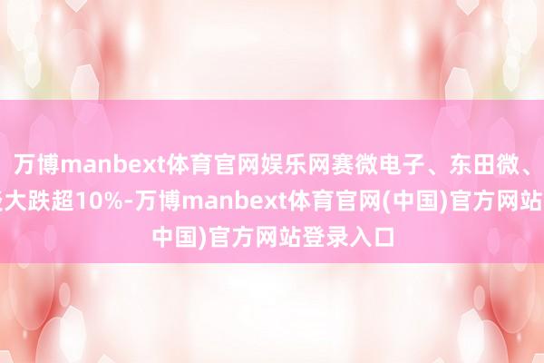 万博manbext体育官网娱乐网赛微电子、东田微、杰普疏淡大跌超10%-万博manbext体育官网(中国)官方网站登录入口
